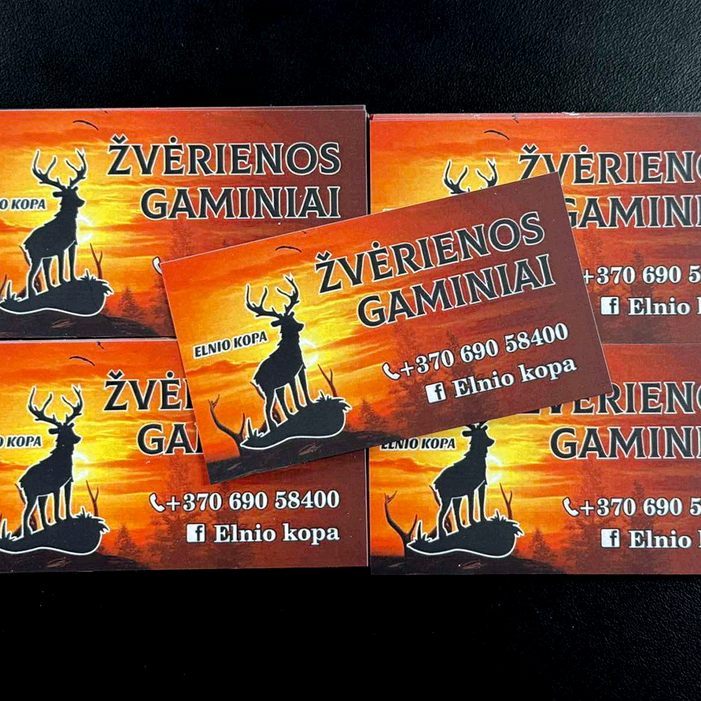 Vienpusės vizitinės kortelės ant 350 gsm kreidinio popieriaus