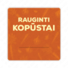 Raugintų kopūstų etiketė - lipdukas. 50x50 70x70 100x100